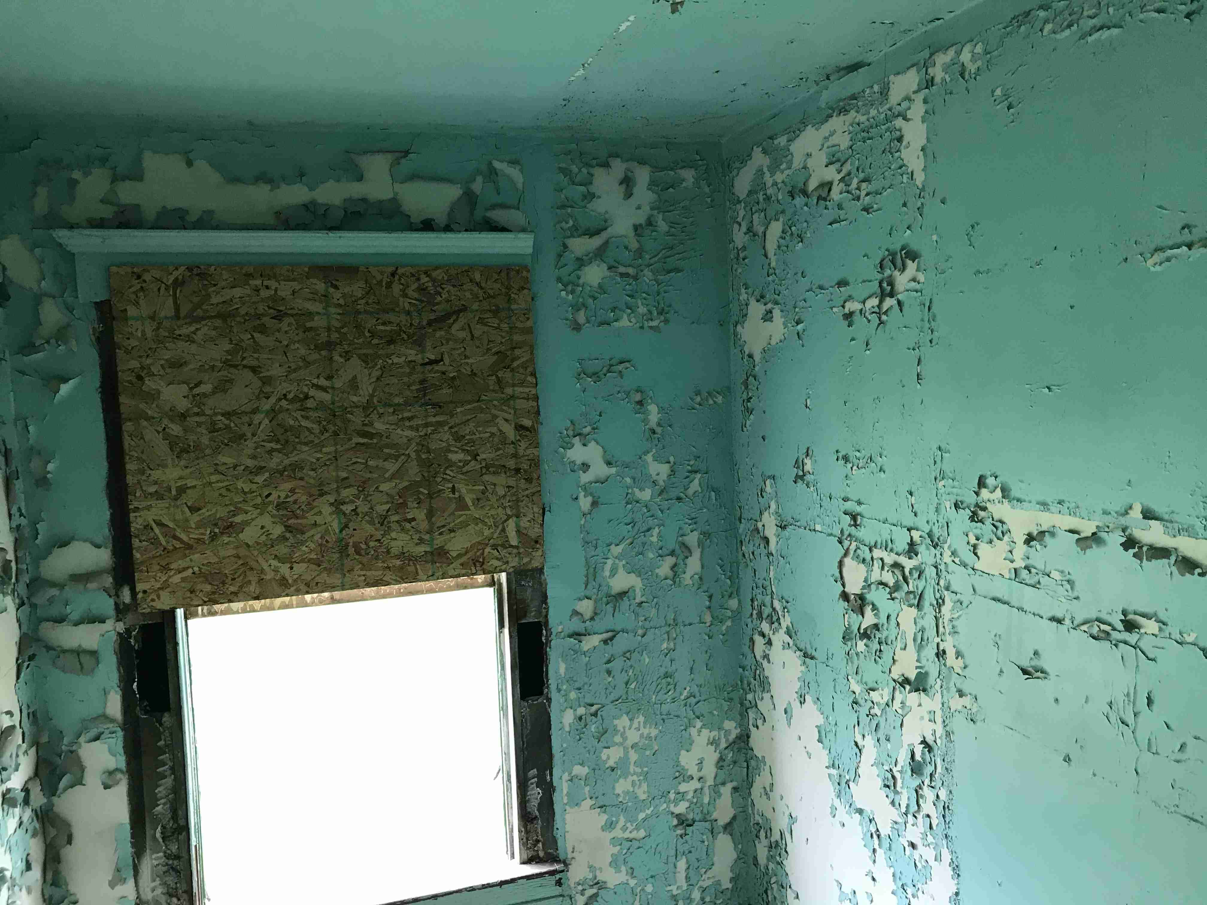 Photo Sep 09, 12 18 16 PM.jpg